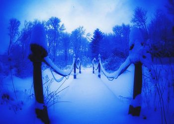 Panoramic view of trees on snow covered landscape