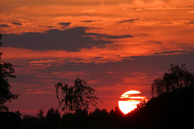 Silhouette trees against dramatic sky during sunset