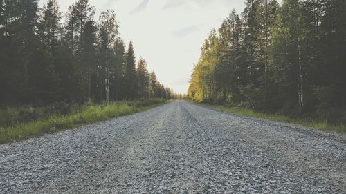 Empty road along trees