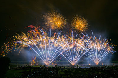 Low angle view of firework display in sky at night