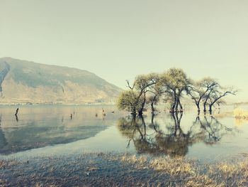 Scenic view of lake against clear sky