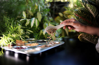 Midsection of person holding food on plant