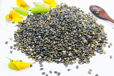 High angle view of chopped vegetables on white background