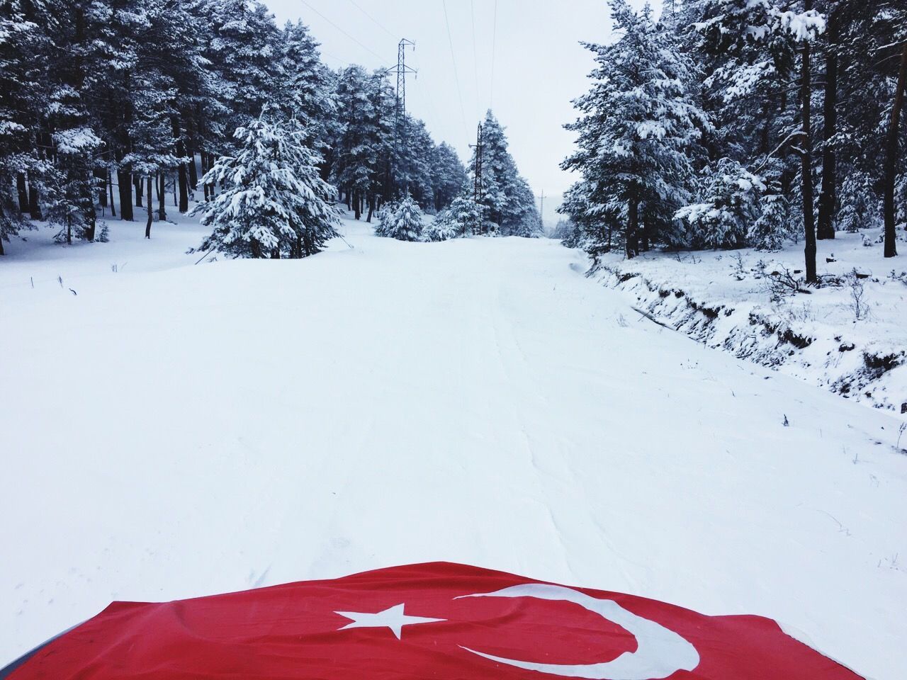 snow, winter, cold temperature, season, white color, weather, landscape, covering, tree, tranquility, tranquil scene, nature, red, field, beauty in nature, white, scenics, non-urban scene, day, snow covered