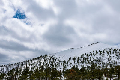 snow