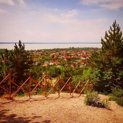 Plants by sea against sky