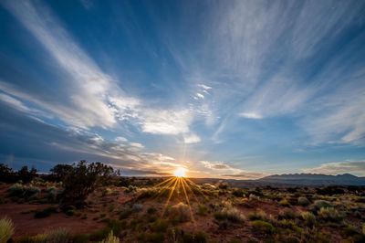 Scenic view of landscape against sky during sunset