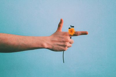 Close-up of hand holding flower