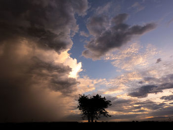 Low angle view of silhouette trees against sky during sunset