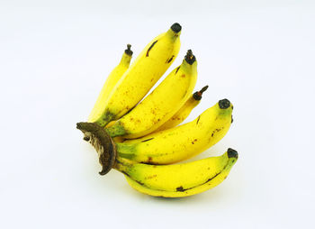 Close-up of yellow fruit against white background