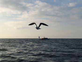 Seagull flying over sea against sky