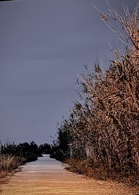 nature