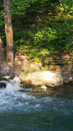 Stream flowing through rocks in forest