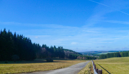 Country road along trees on landscape