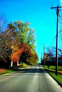 Empty road along trees