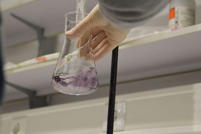 Close-up of human hand holding beaker at laboratory