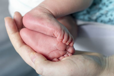 Close-up of baby hands