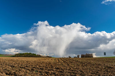 Scenic view of field against sky