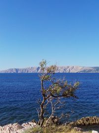 Scenic view of sea and mountains against clear blue sky