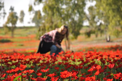 View of flowering plants on field