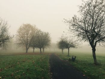 Trees in field against sky during foggy weather