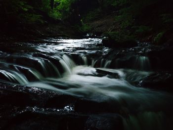 Scenic view of waterfall in forest