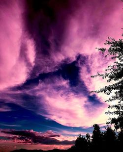 Low angle view of silhouette trees against dramatic sky