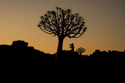 Silhouette tree against sky during sunset