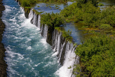 Scenic view of waterfall in forest