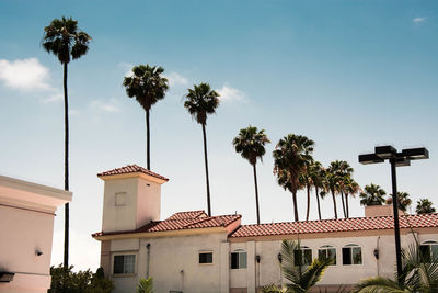 Low angle view of palm trees and building against sky