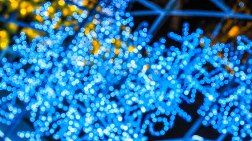 Close-up of illuminated christmas lights