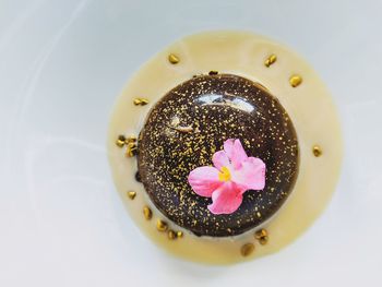 High angle view of water lilies in container
