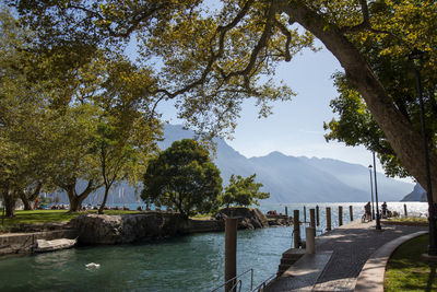 Scenic view of lake by trees against sky