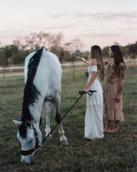 Horses standing on field against sky