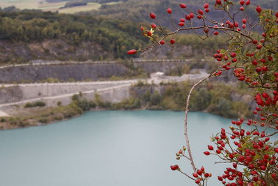 Scenic view of red and tree against mountain