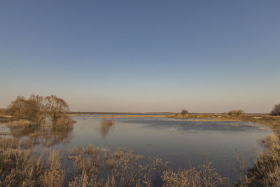 Scenic view of lake against clear sky