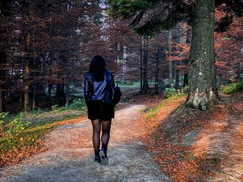 Rear view of woman walking in forest