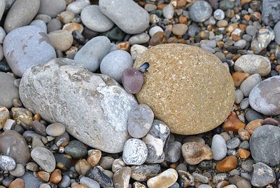 High angle view of pebbles on beach