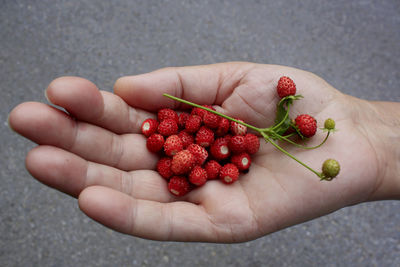 High angle view of hand holding strawberries