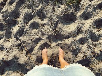 Low section of person standing on sand