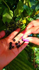 Close-up of woman holding fruit