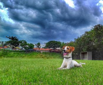 Boy statue on grass against sky