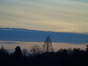 Silhouette trees against sky during sunset