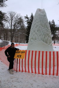 Full length of man standing on snow covered trees