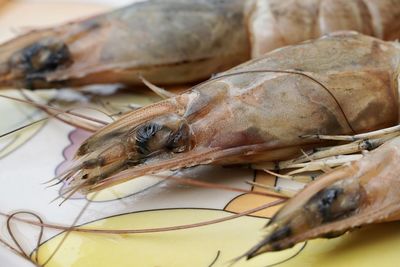 Unpeeled raw fresh prawn fish in a plate. shrimps kept in market for sale.