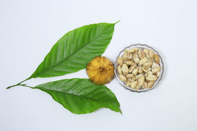 Directly above shot of leaves on table against white background