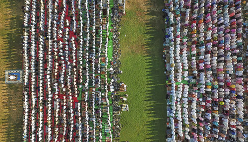 Aerial view of men praying on land