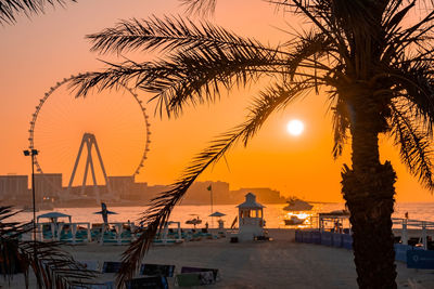 Ain dubai, the biggest ferris wheel in the world.