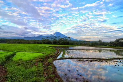 Scenic view of lake against sky