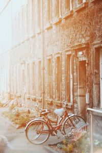 Bicycle against wall in old building